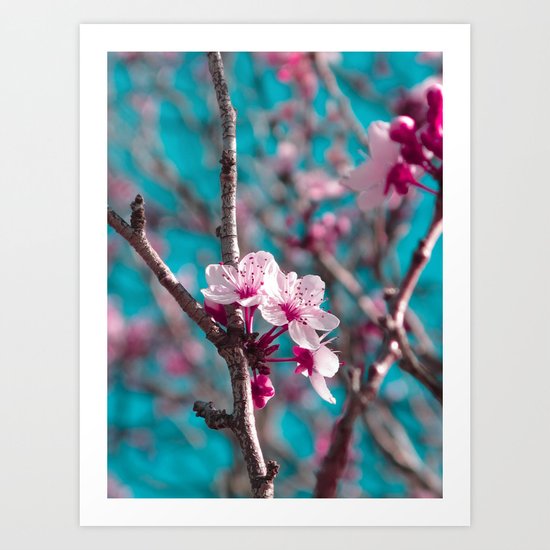 Pink Blossoms Art Print