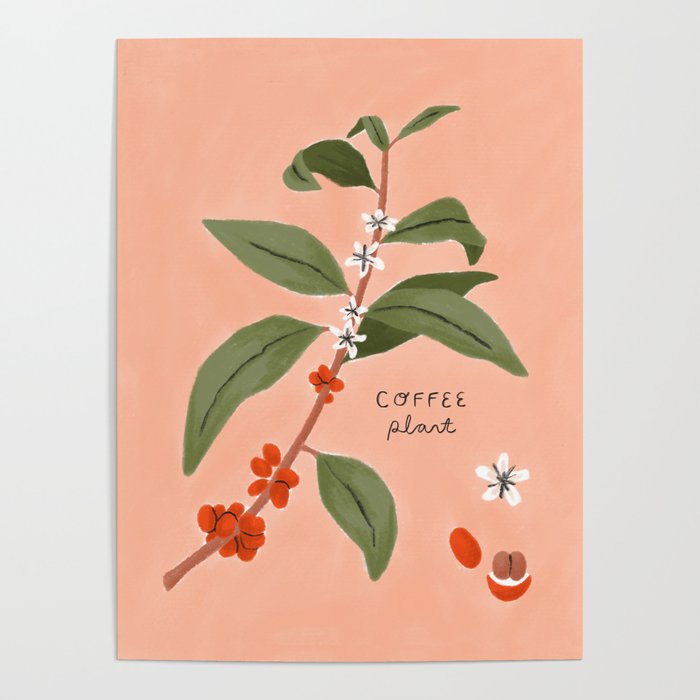 Coffee Plant Poster