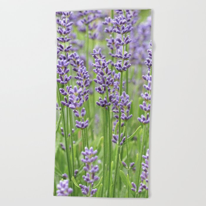 Lavender 0218 Beach Towel