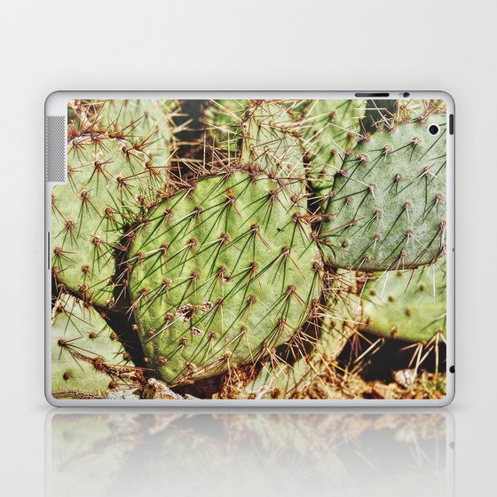 Desert Cactus Detail Laptop & iPad Skin