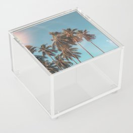 Tropical Summer Palm Trees, Blue Sky Acrylic Box