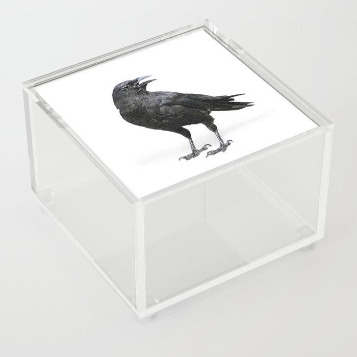 Black Crow Acrylic Box