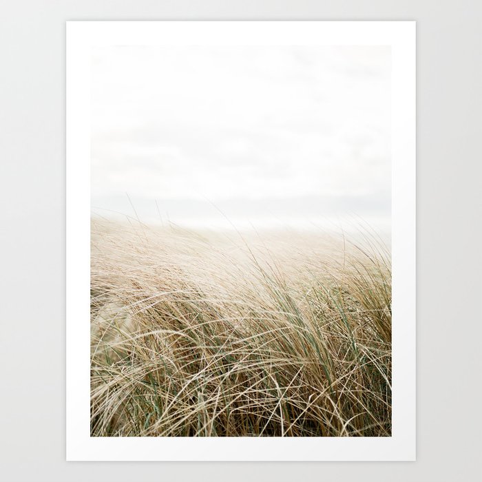 Dune grass | Ireland travel photogragraphy print | At the beach Art Print