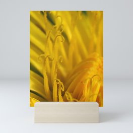 Lonely Dandelion Abstract Mini Art Print