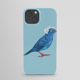 Birdie Sanders iPhone Case