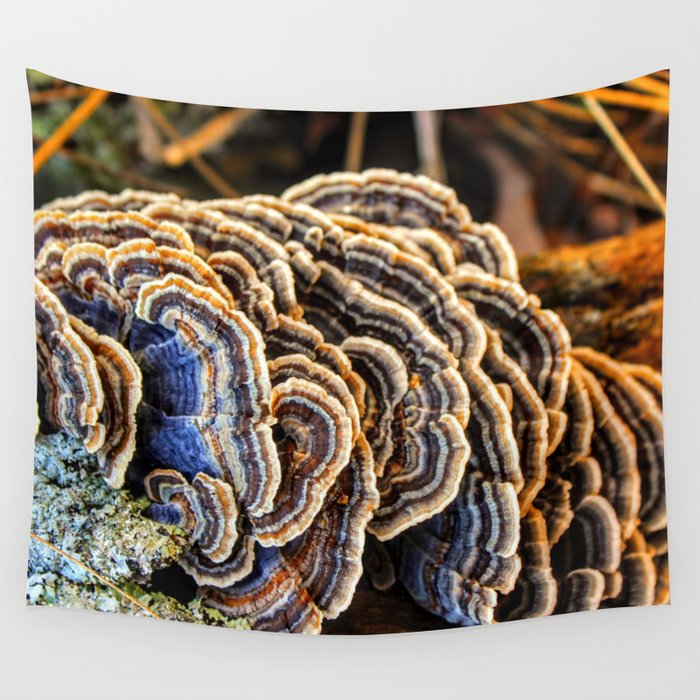 Tree Fungus Abstract Nature Pattern Wall Tapestry