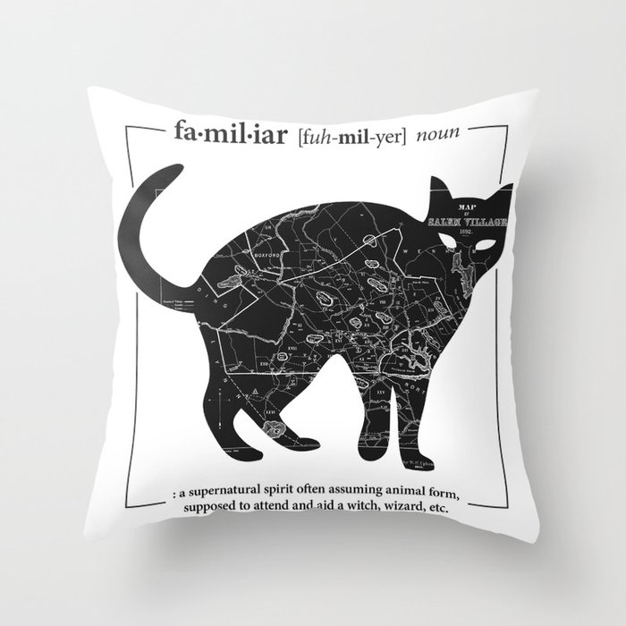 A Familiar Black Cat Throw Pillow