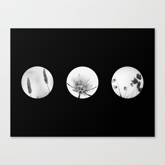 trio of flowers Canvas Print