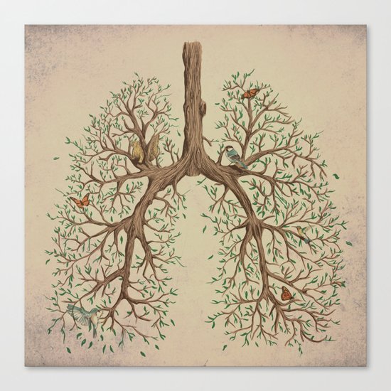 Breathe! Canvas Print