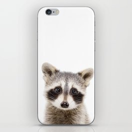 Cute Baby Raccoon, Woodland Animals, Kids Art, Baby Animals Art Print By Synplus iPhone Skin