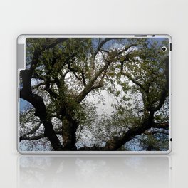 Sky and tree 5 Laptop Skin