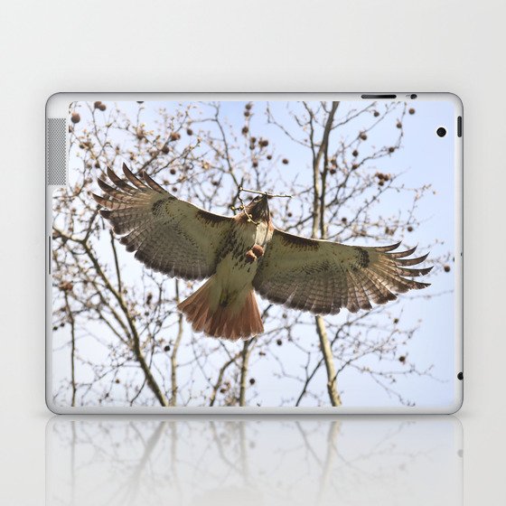 Gliding hawk 18 Laptop & iPad Skin