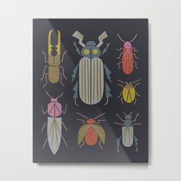Beetle Specimens Metal Print