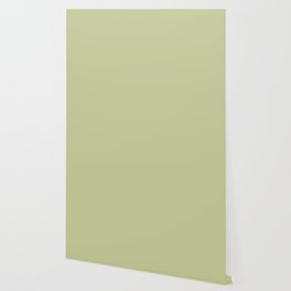 Pastel Green Solid Color Hue Shade - Patternless Wallpaper