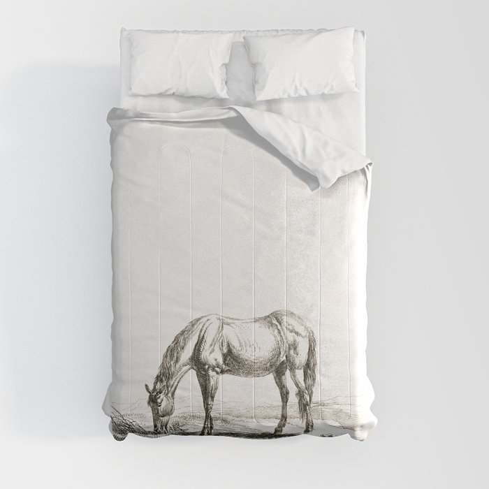 A Grazing Horse - Vintage Illustration Comforter