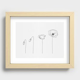 Poppy Flowering Phases Recessed Framed Print