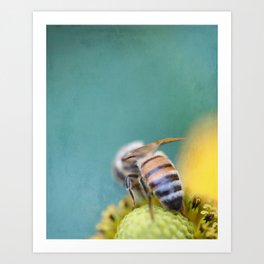 Honeybee on Teal Blue and Yellow Art Print