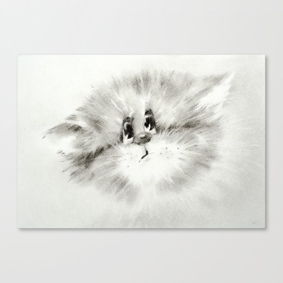 Surprised kitty Canvas Print