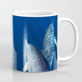 Playful and friendly dolphins Coffee Mug