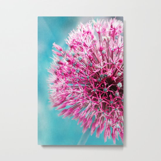 ALLIUM Metal Print