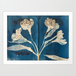 Ariel's Song - Cyanotype on Antique Book Pages Art Print