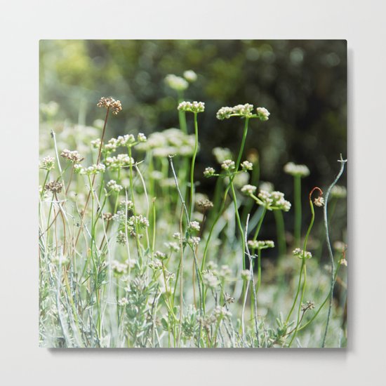 A Beautiful Day Metal Print