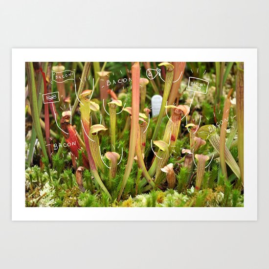Killer plants Art Print
