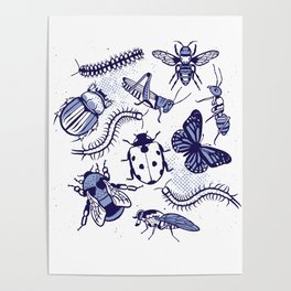Insects and animals Poster