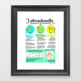 Labradoodle Coat & Grooming Infographic Framed Art Print