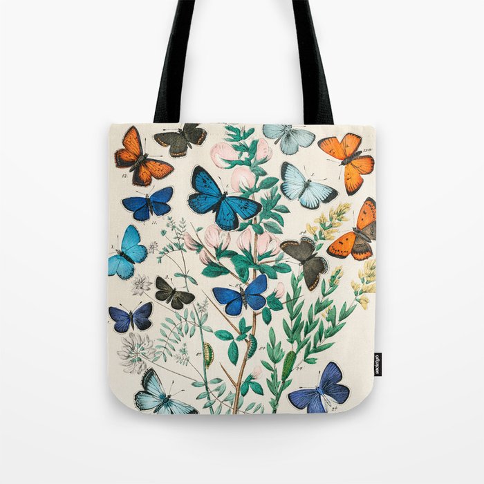Illustrations from the book European Butterflies and Moths by William Forsell Kirby Tote Bag