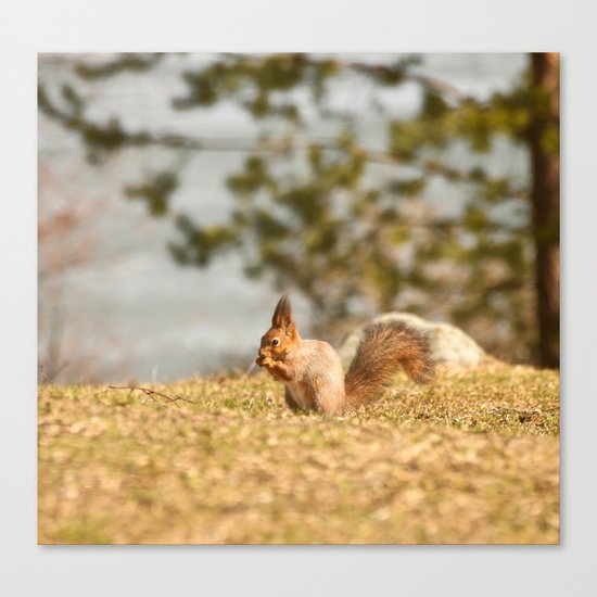 Lunch Break Canvas Print