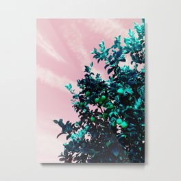 fairfax lemon tree Metal Print