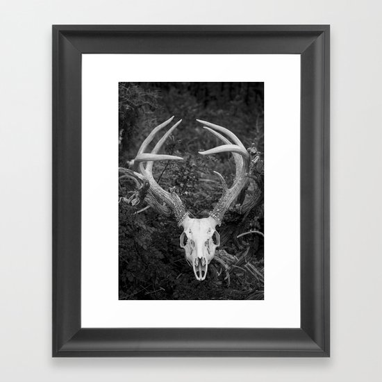 Deer Skull Black & White Framed Art Print