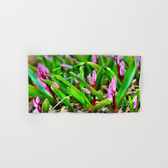 Spring Beginnings Hand & Bath Towel