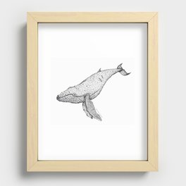 Humpback Whale Illustration Recessed Framed Print