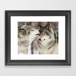 Wolf Kisses Framed Art Print