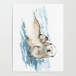 Sea otter Poster
