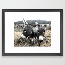 Wild Donkey Duo at Sunrise Framed Art Print