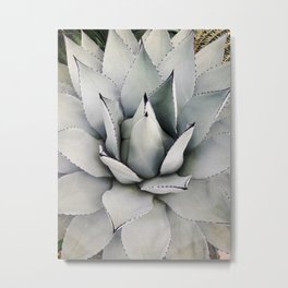 Silver Cactus Metal Print