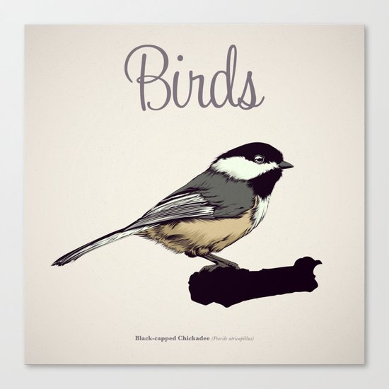 BIRDS 03 Canvas Print