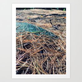 Pine tree forest Art Print | Trail, Adventure, Branches, Autumn, Nature, Woods, Pine, Photo, Needle, Stones 