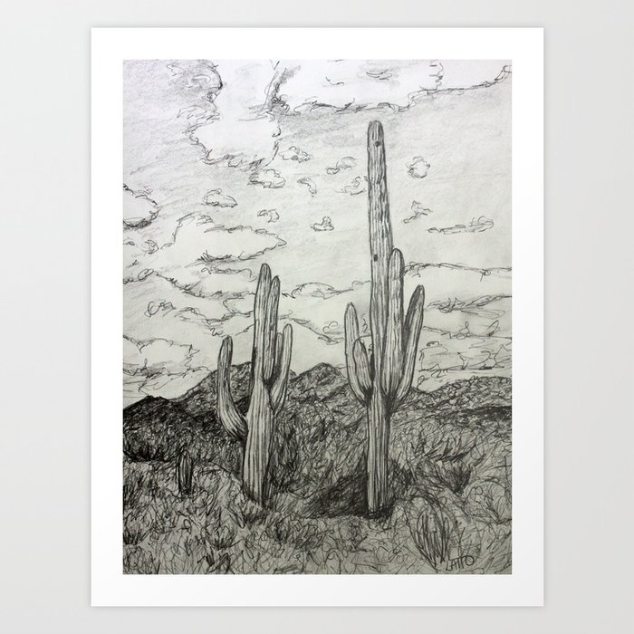 pencil drawing cactus