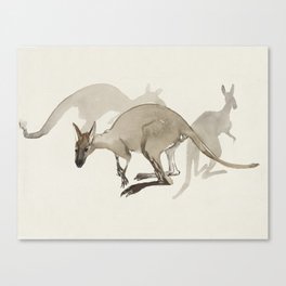 Kangaroo illustration Canvas Print