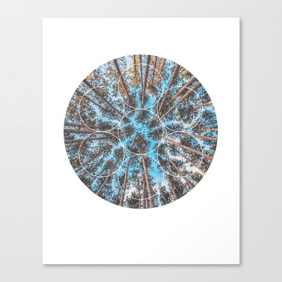 Circular Palm Trees - Geometric Photographic Canvas Print