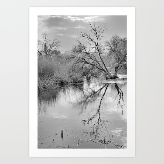 Branches that embrace the water Art Print