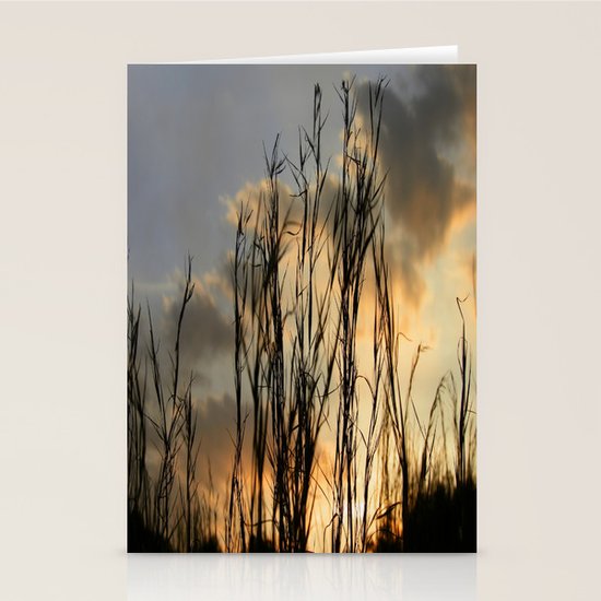 Last Light Stationery Cards