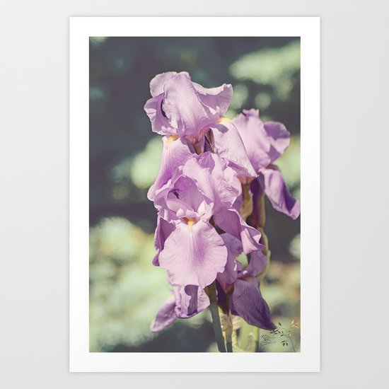 Spring Splendor Art Print