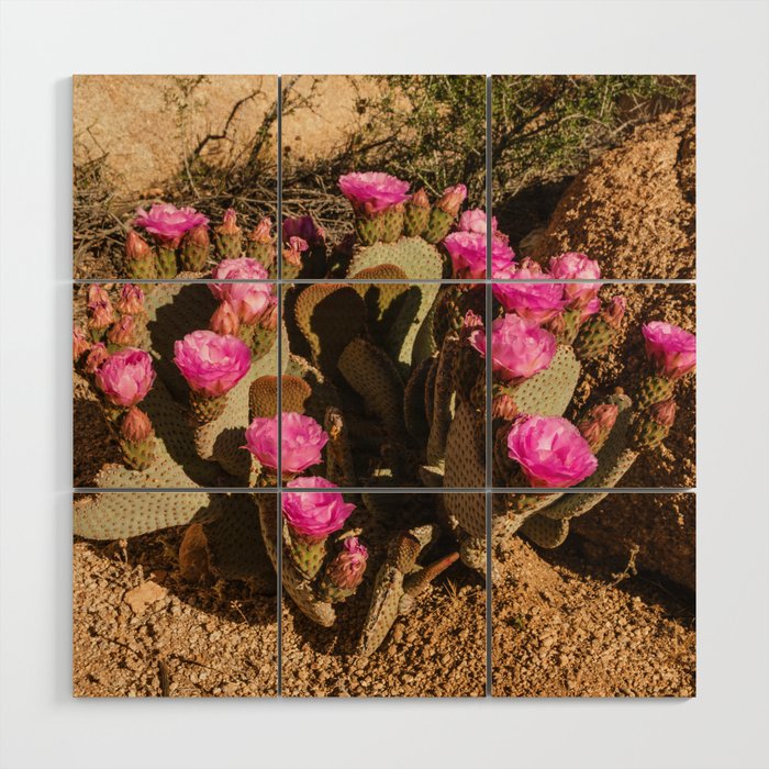 Pink Cactus Flowers Wood Wall Art