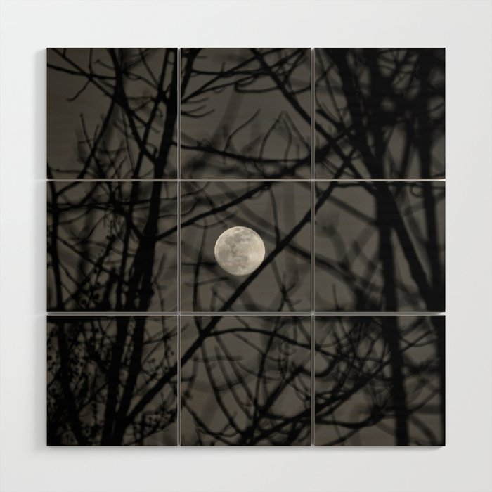 Pennsylvania Forest Moon Photograph Wood Wall Art