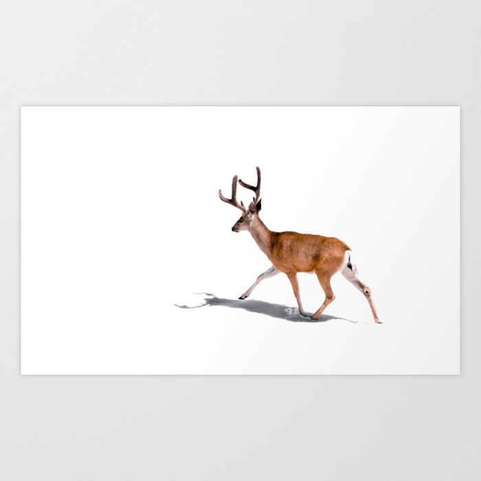 The Buck in Snow (Color) Art Print